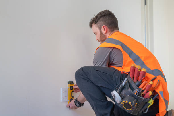 Best Electric Panel Repair  in Ridgely, MD