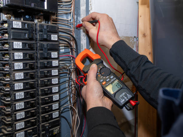 Best Electric Panel Repair  in Ridgely, MD